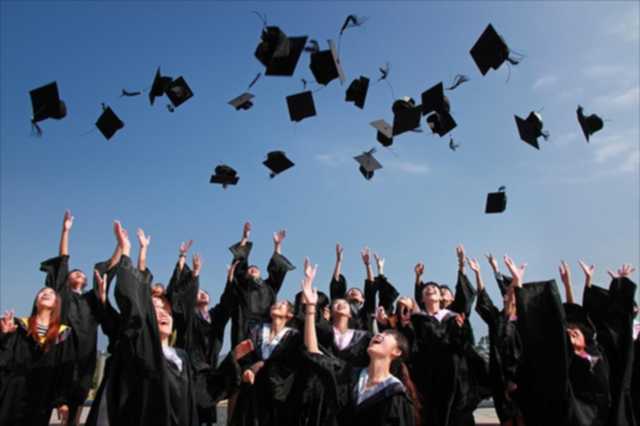 laurea.jpg